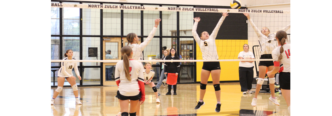 Volleyball