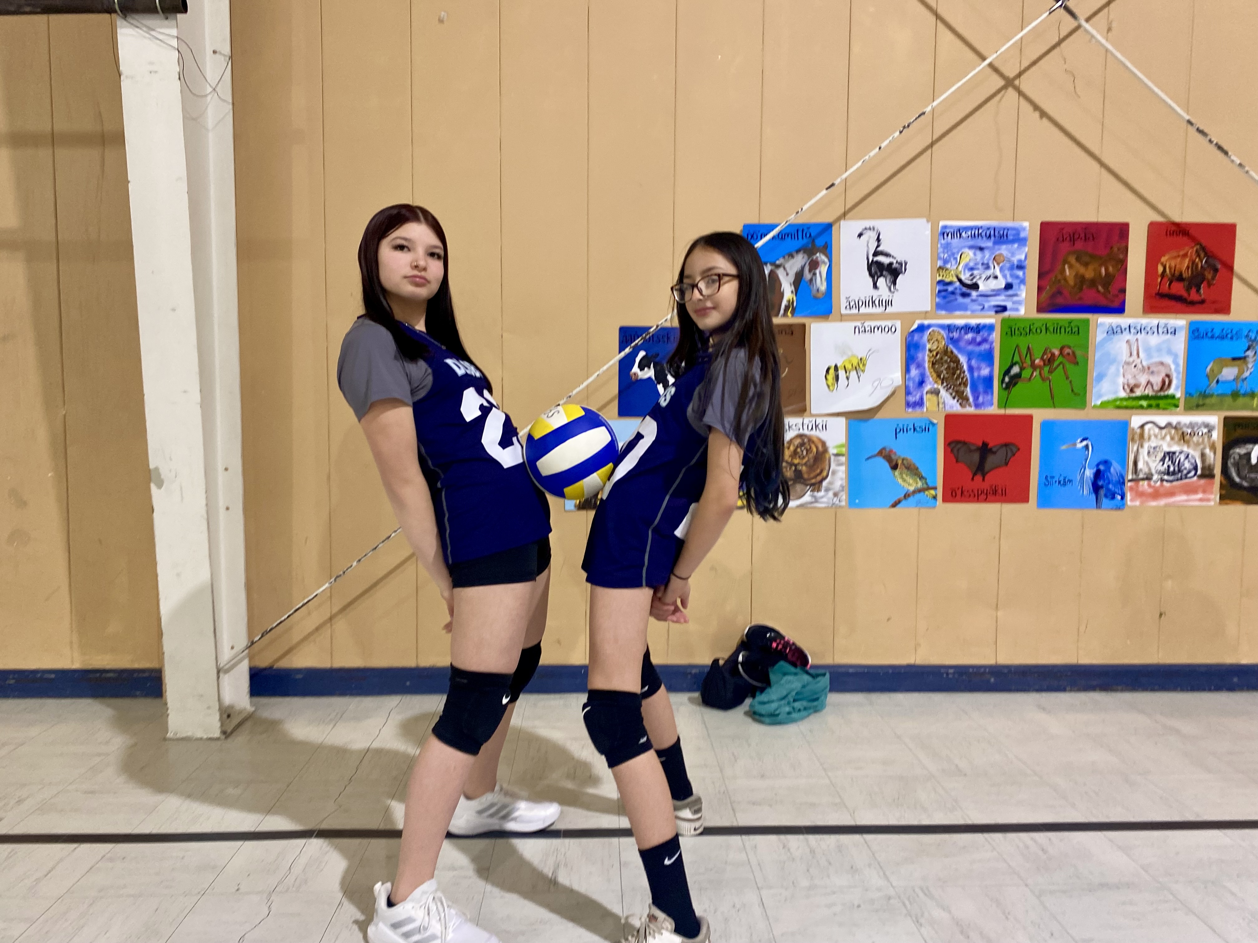 Volleyball