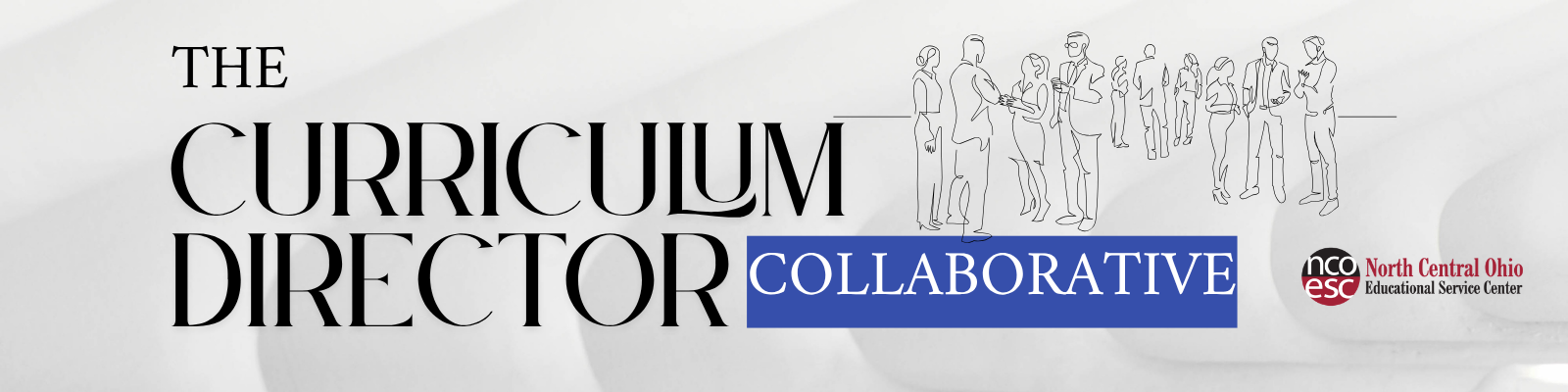 CURRICULUM DIRECTOR COLLABORATIVE