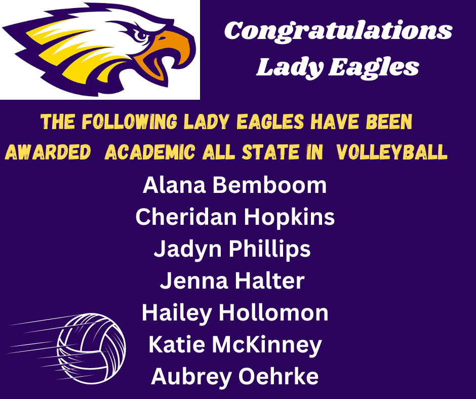Academic All State Volleyball
