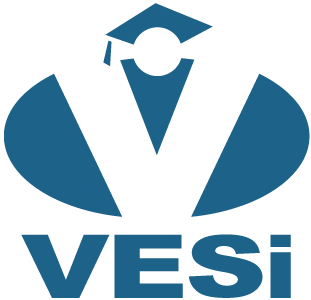 VESi Logo