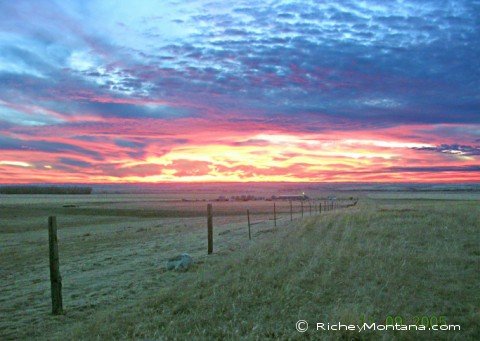 Sunset over field in Richey MT