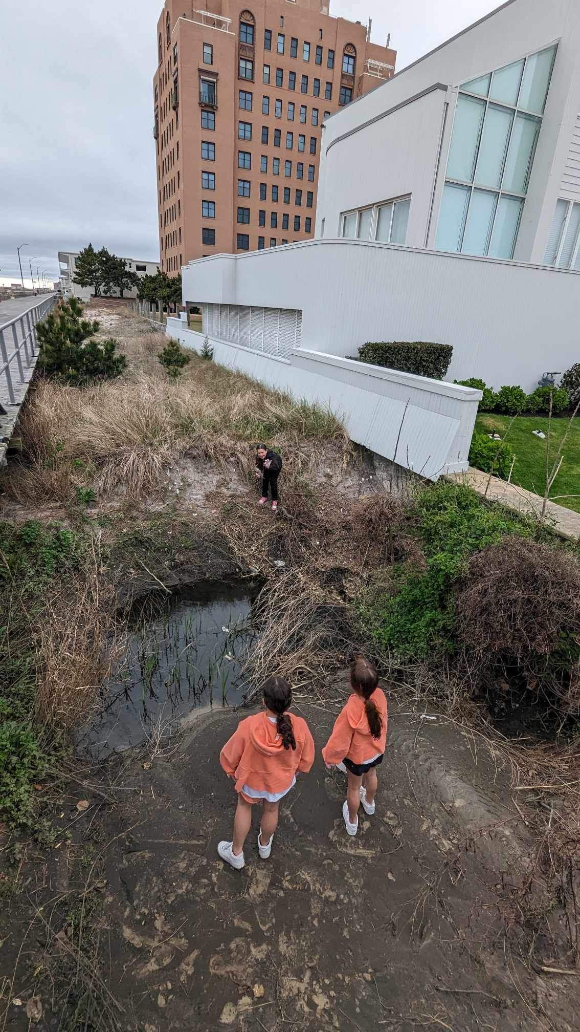 VECC Beach cleanup April 2024