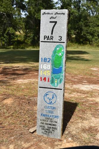 Painted Golf Hole Marker