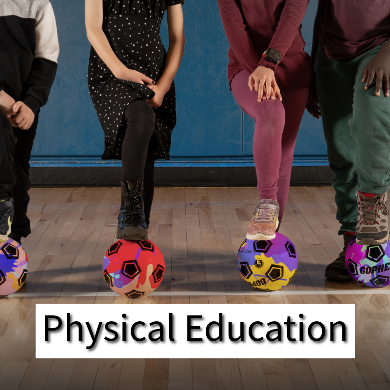 Physical Education Curriculum