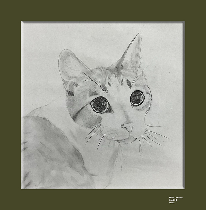 Shiloh Heines, Pencil