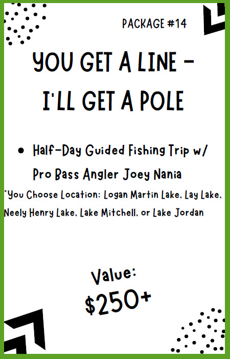 Auction Item #14: You Get a Line I'll Get a Pole