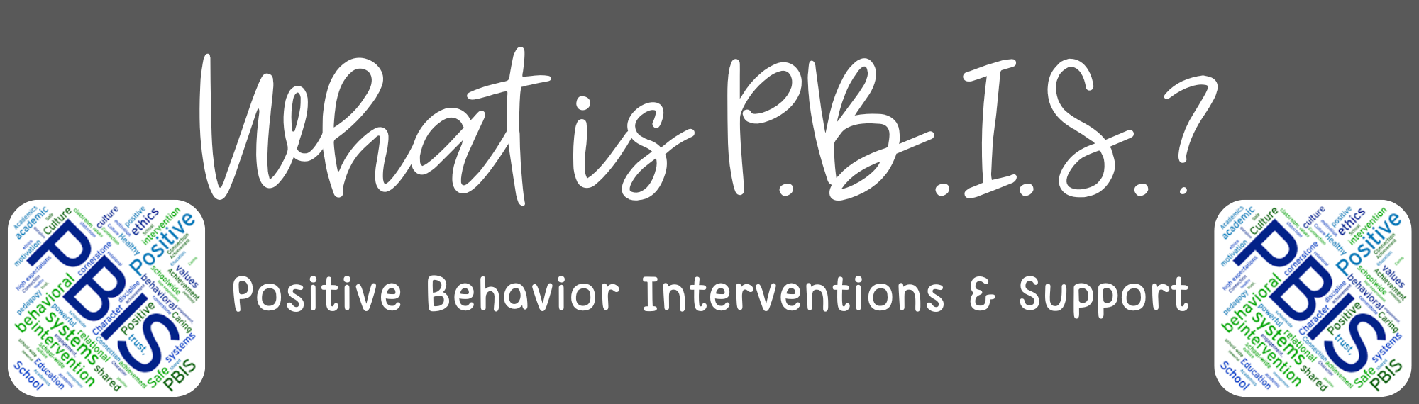 what is pbis positive behavior interventions and support