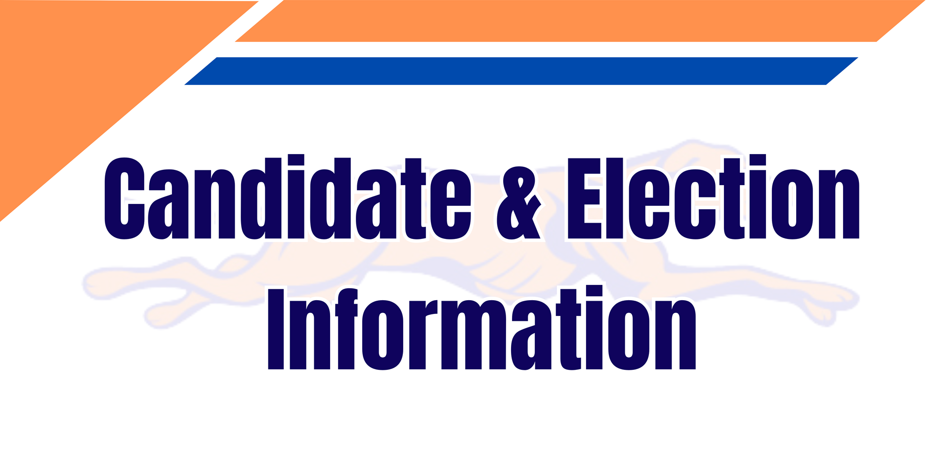 Candidate and Election information