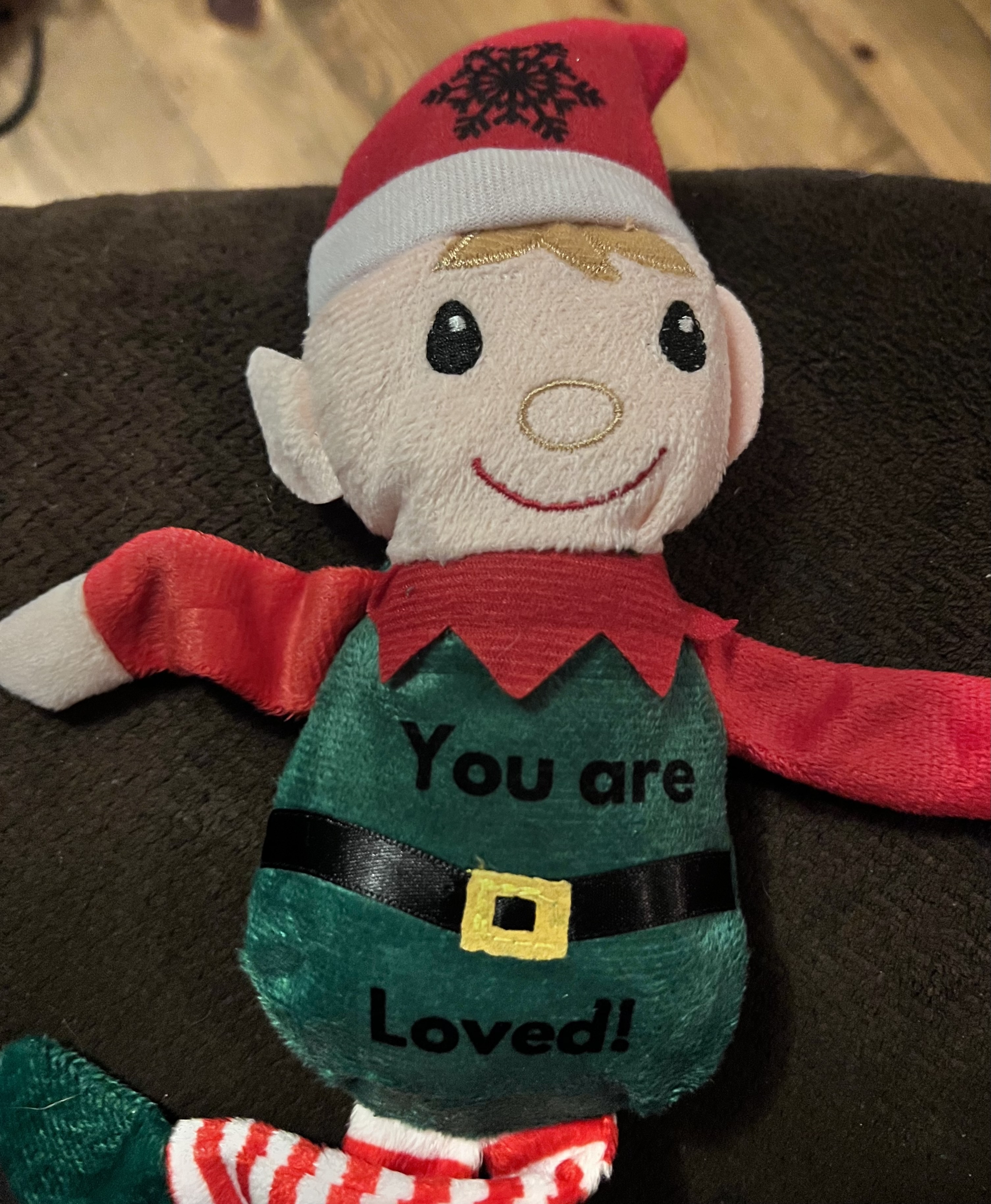 Each resident at Serene Manor was given their very own elf.