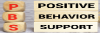 positive behaviour support