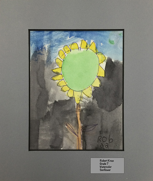 Robert Knox Jr. - Watercolor - Sunflower