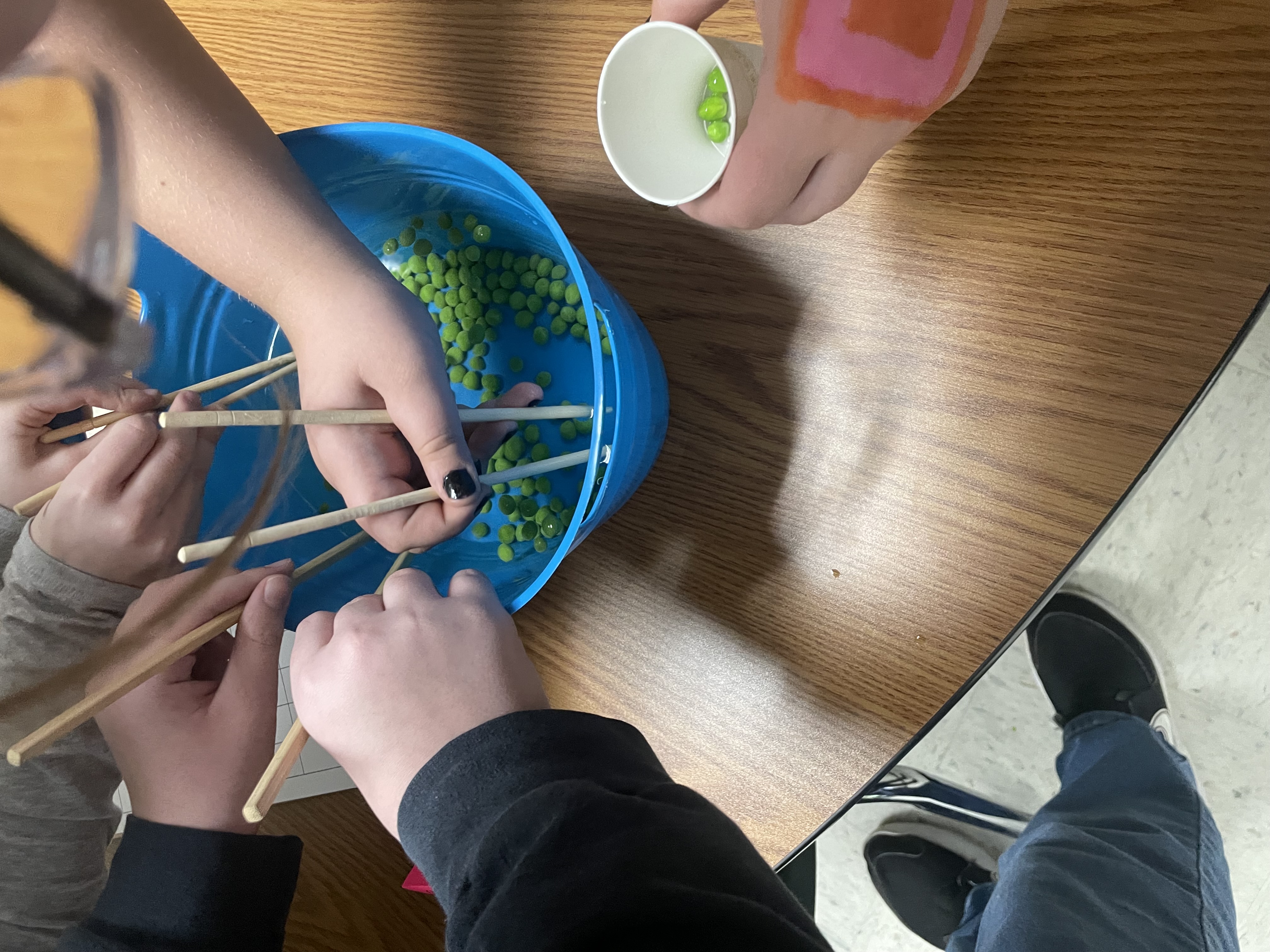 Students use chopsticks to imitate a birds beak to extract peas from a bowl.