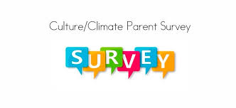 culture survey image