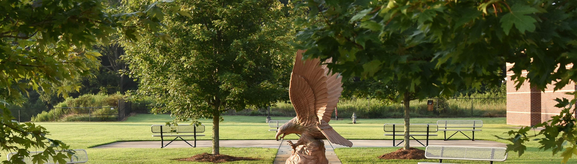 Picture of eagle in courtyard