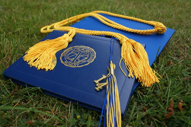 diploma cover and graduation cap lying in grass