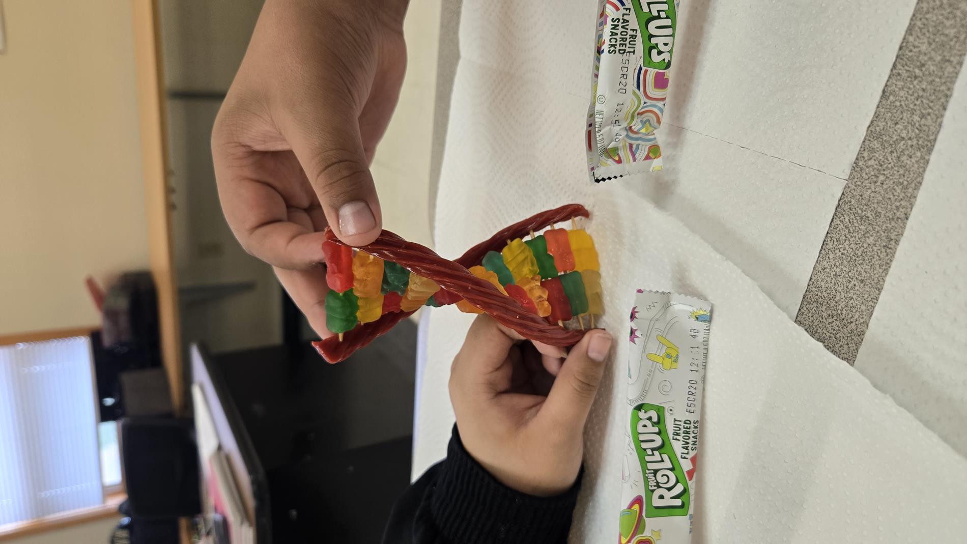 3d Model of DNA by 8th Grade