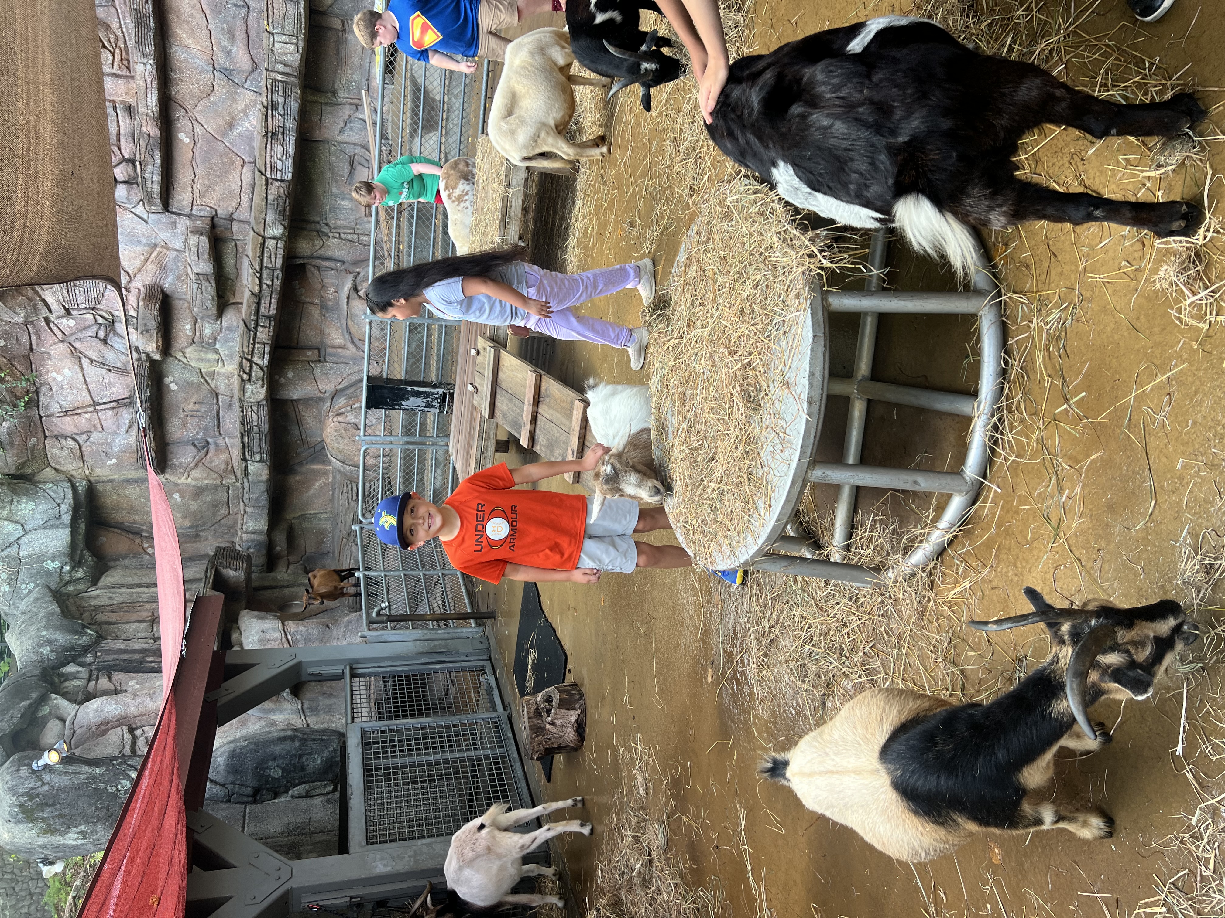 zoo zoo