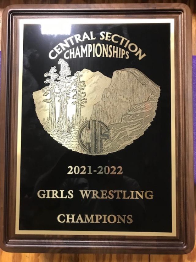 Girls Wrestling Team Award