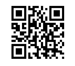 big night out qr code