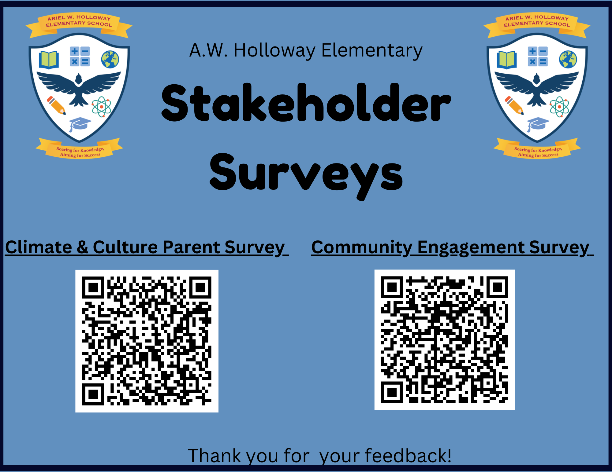 stakeholder surveys