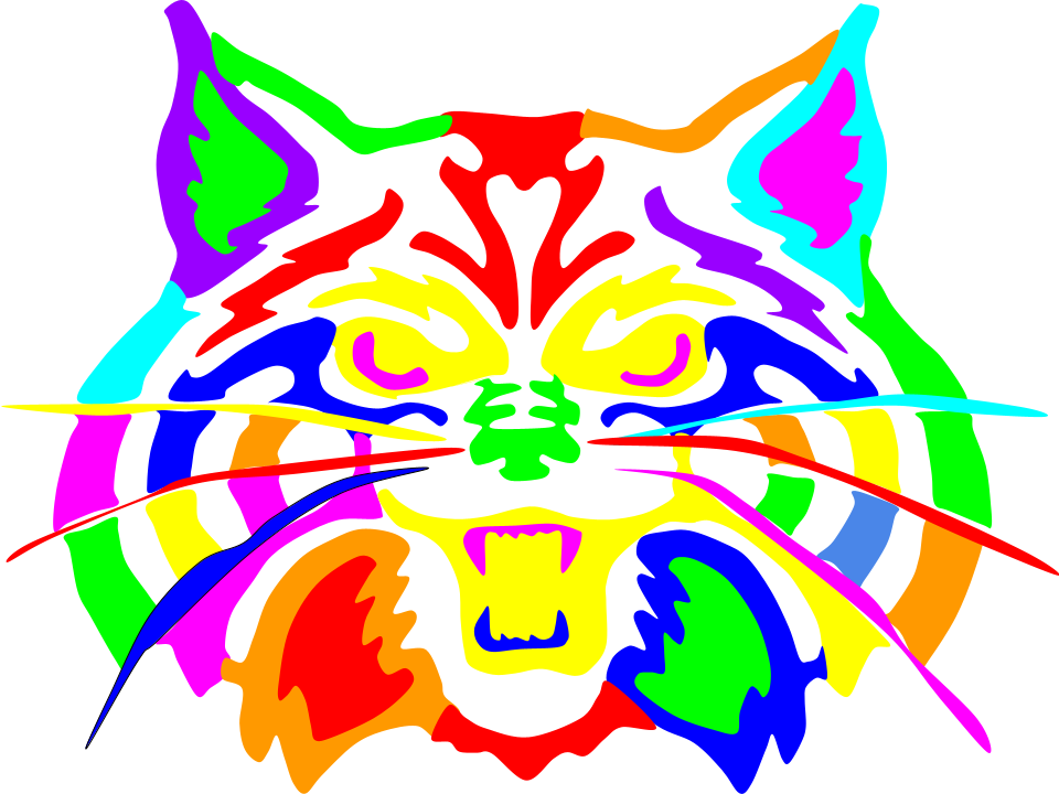wildcat pop art