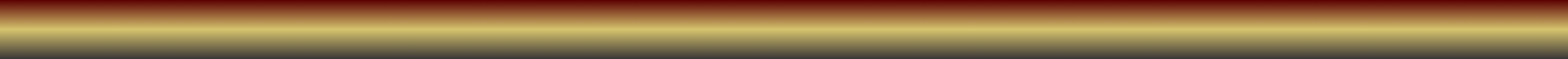 Bus Border