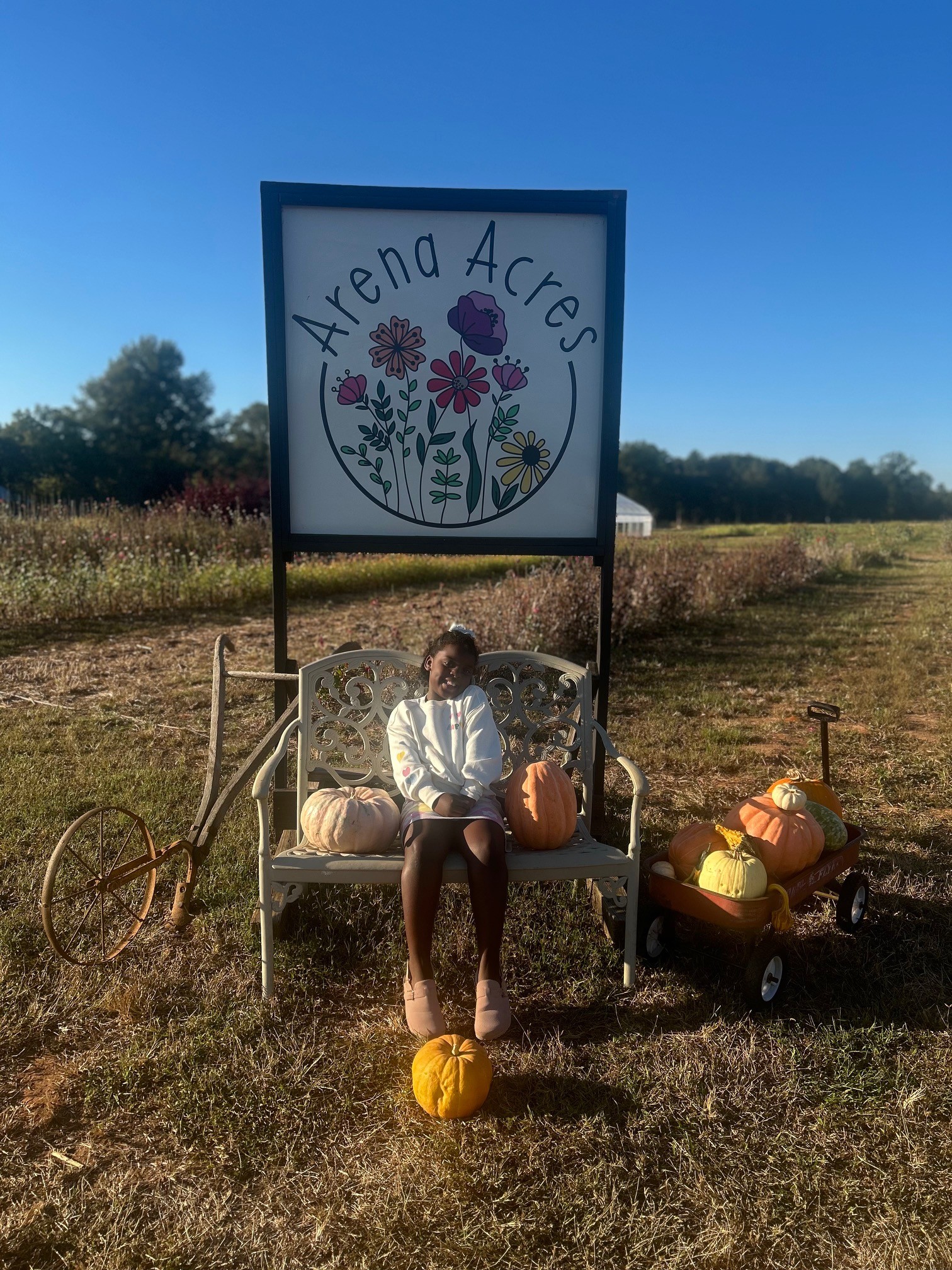 Student at the Pumpkin Patch at Arena Acres