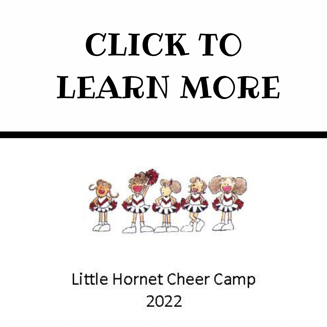 little hornet cheer camp