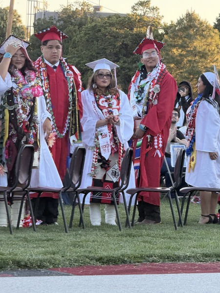 Seniors 2026