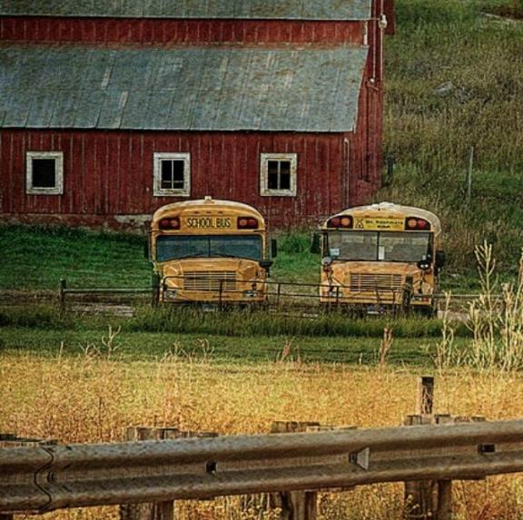 School Bus Picture