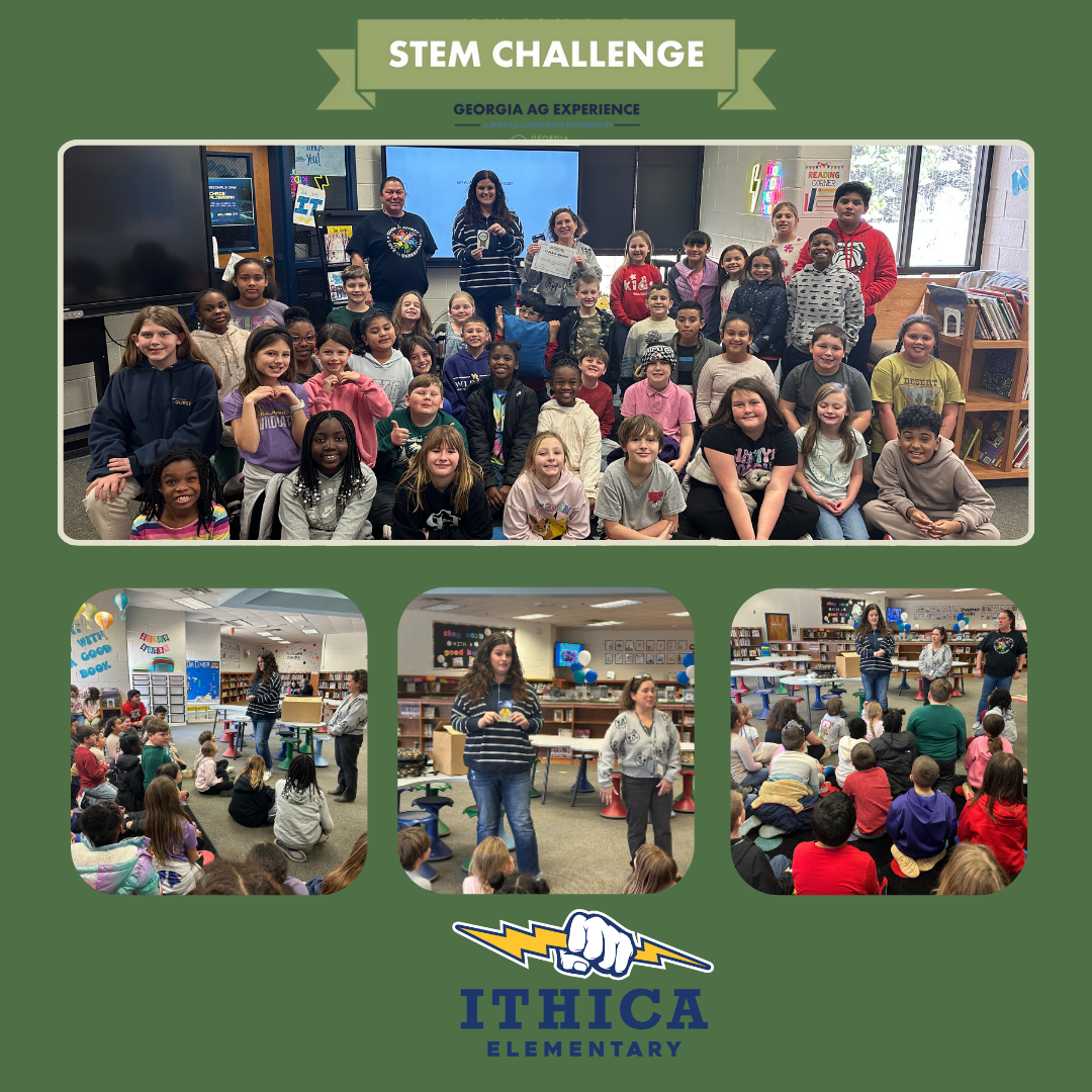 garden club stem challenge winners