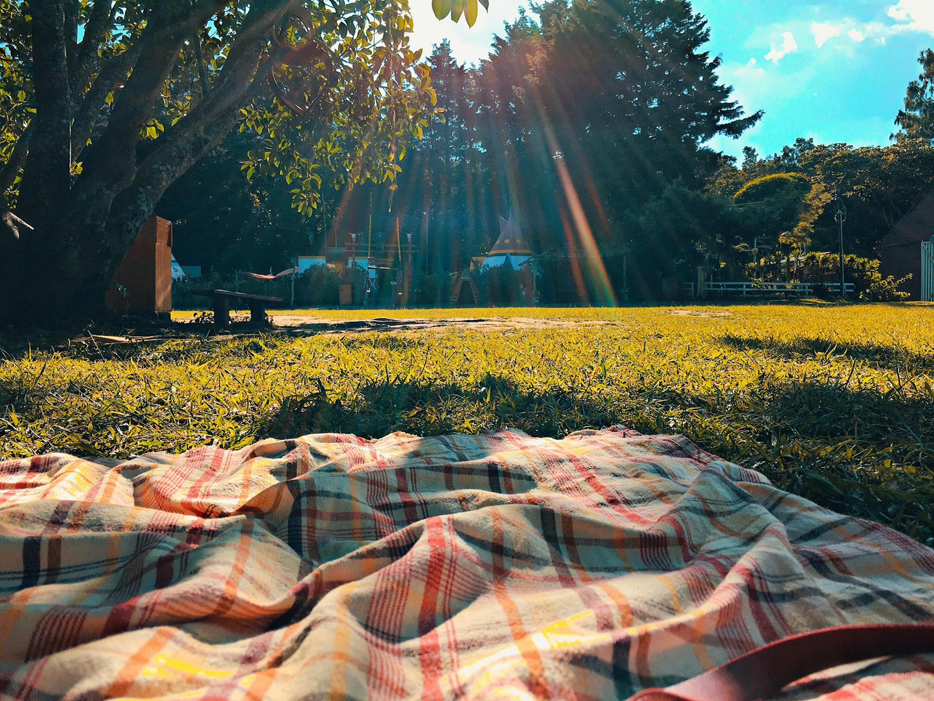 Photo by Jennie Clavel on Unsplash