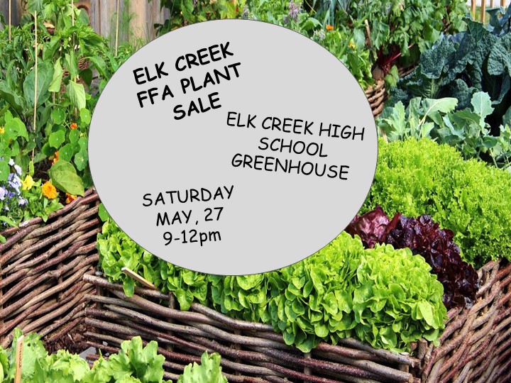 This Sat 5/27/2023, the ECHS FFA will be hosting a plant sale in the ECHS Parking lot from 9:00 am to 12:00 pm. Come support our students!