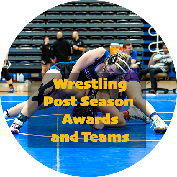 Wrestling Athletic Awards and Recognitions