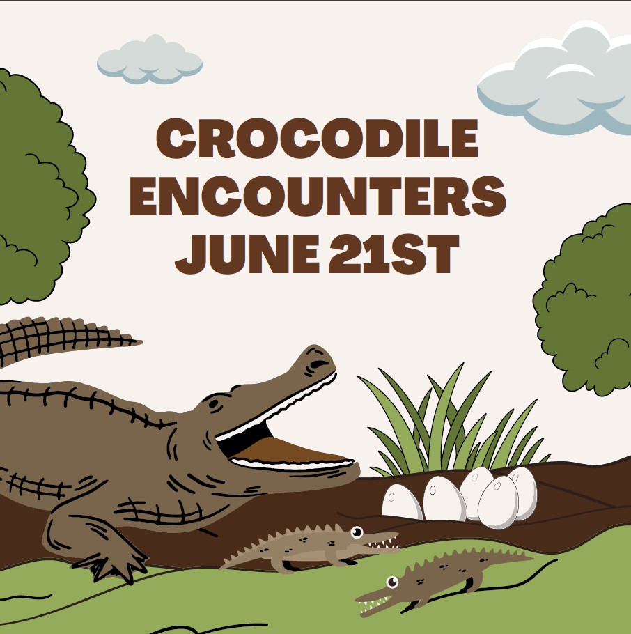 Crocodile Encounters 