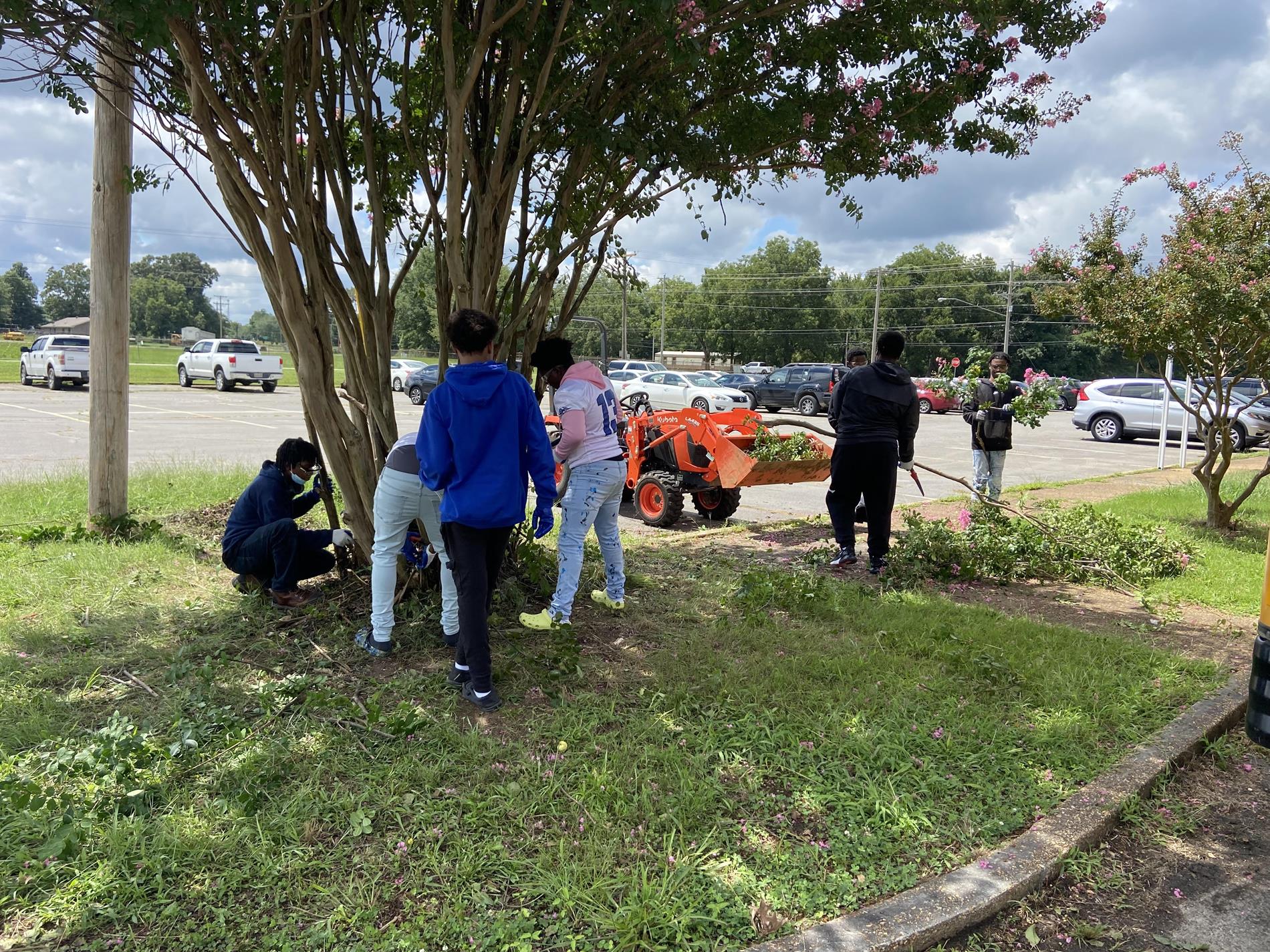 Students pruning bushes