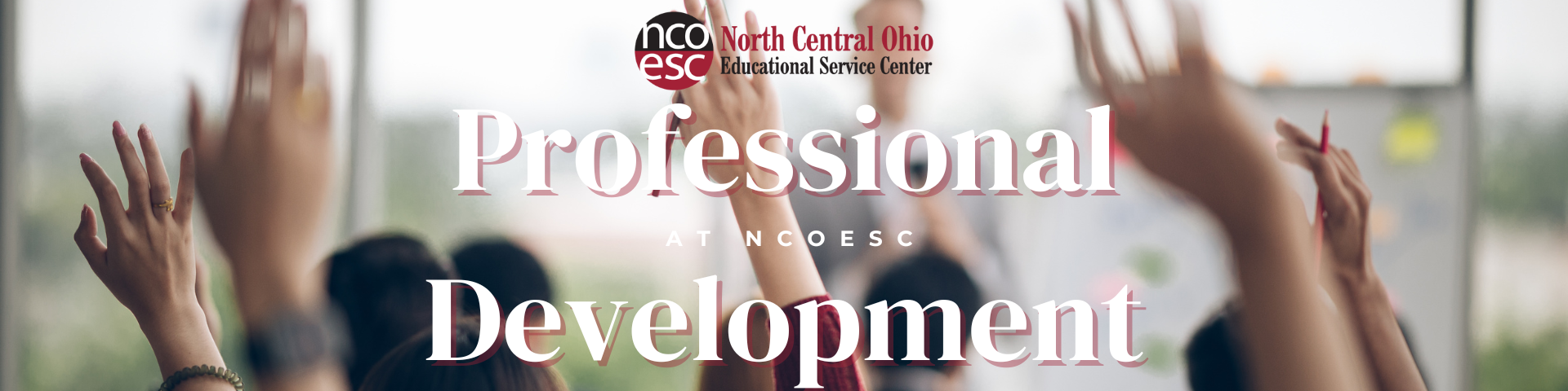 Professional Development at NCOESC