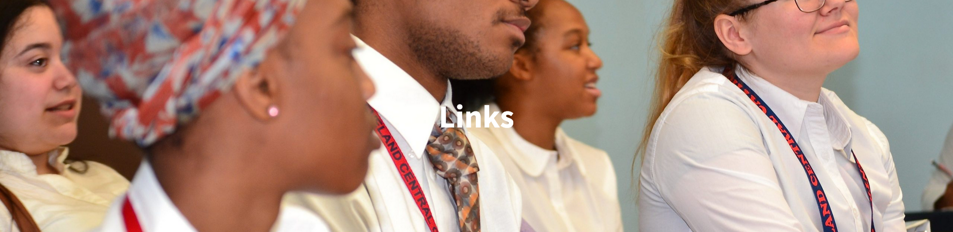 Links Page Logo