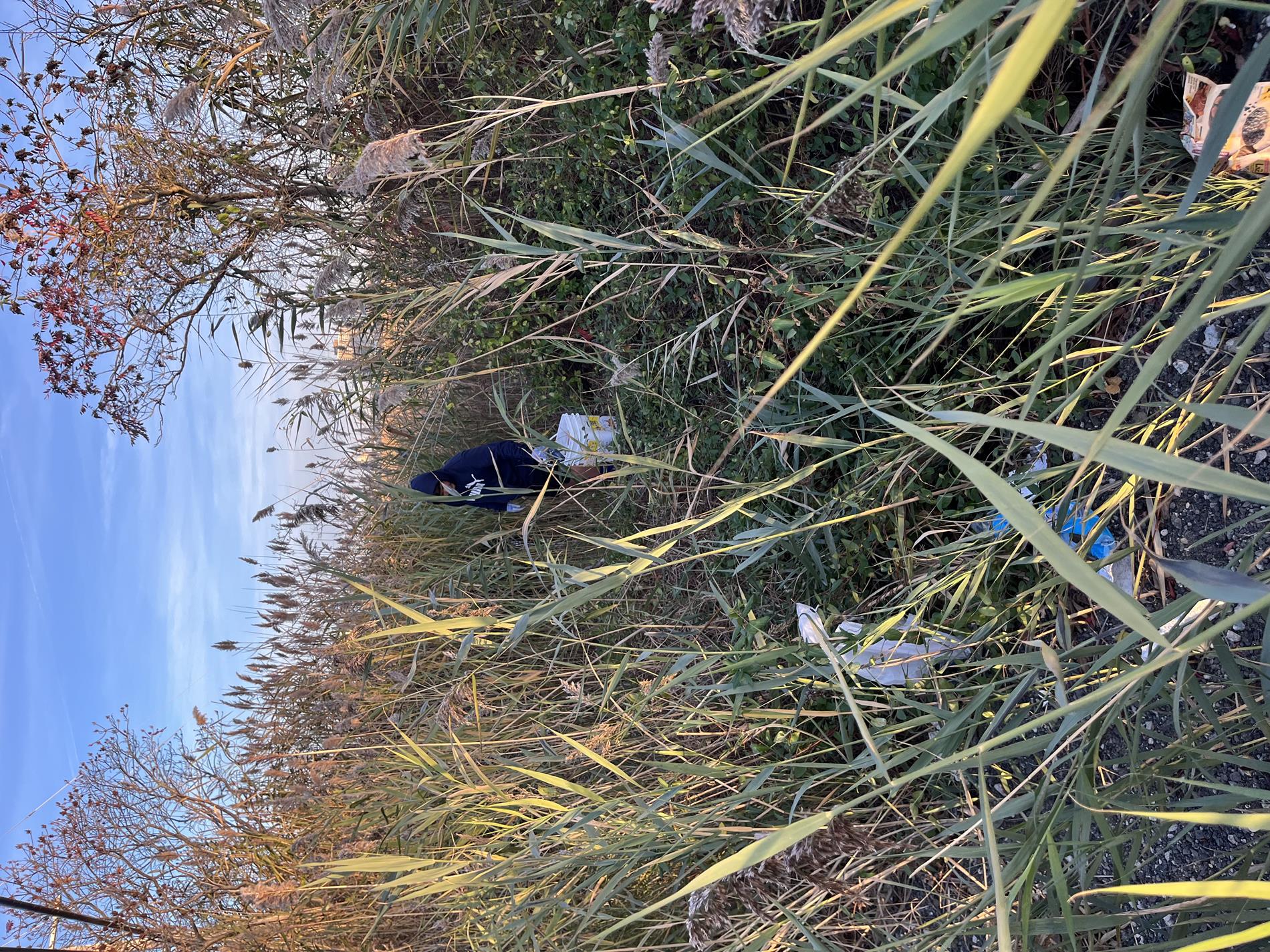 VECC Beach cleanup Nov 2024