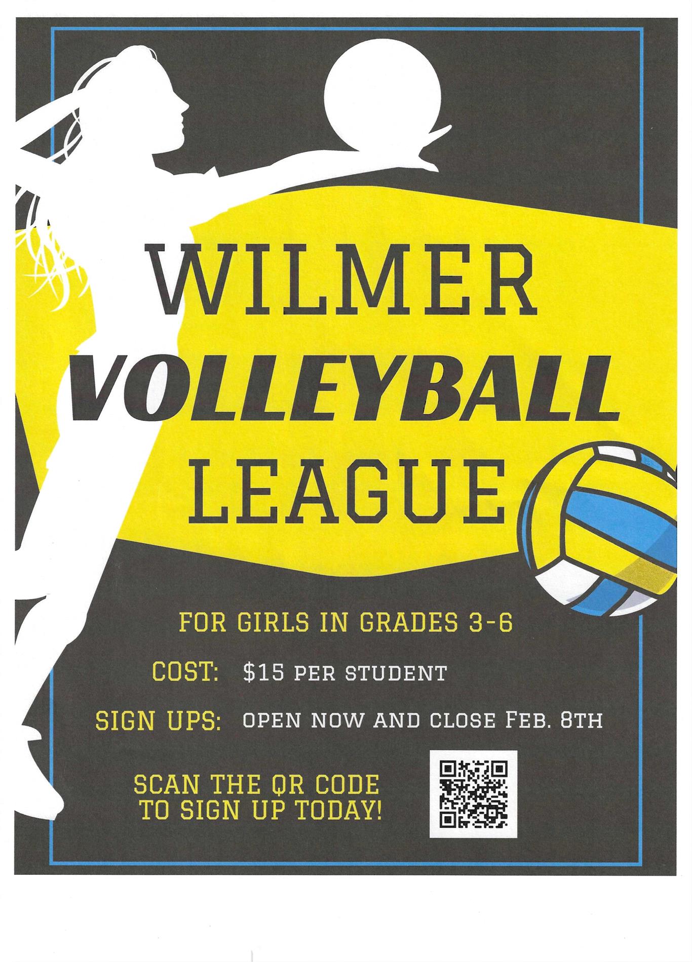 Wilmer Volleyball League