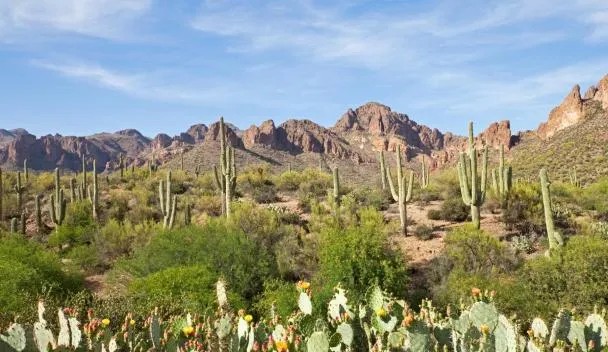 desert