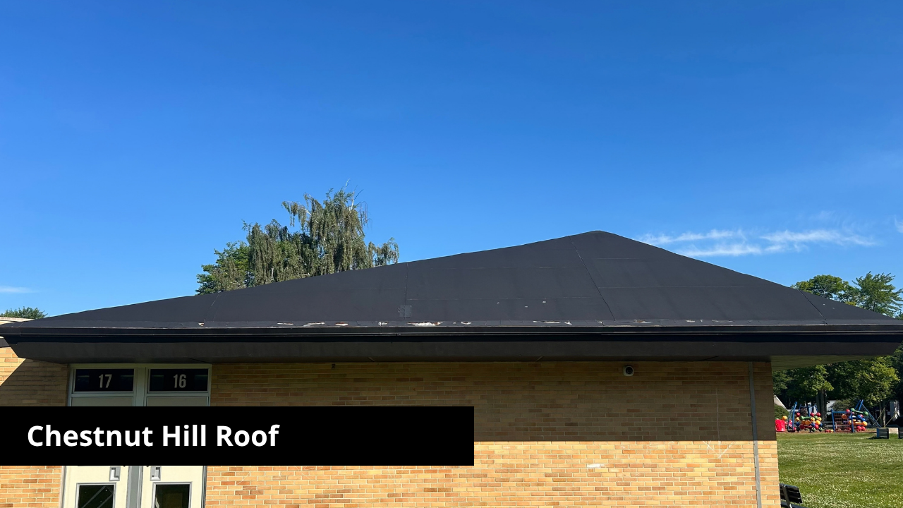 Chestnut Hill Roof