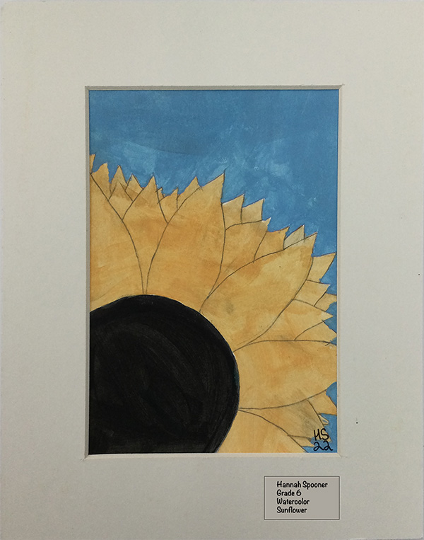 Hannah Spooner - Watercolor - Sunflower