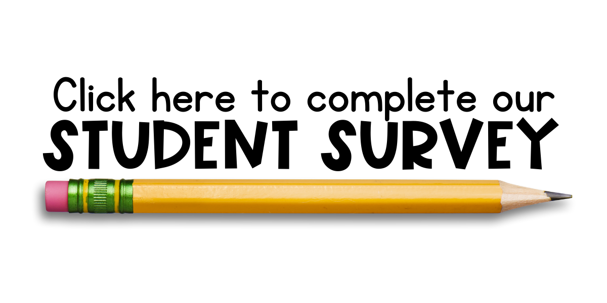 student survey