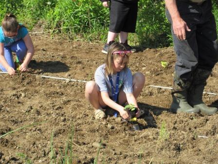 Planting Pumpkins 060325