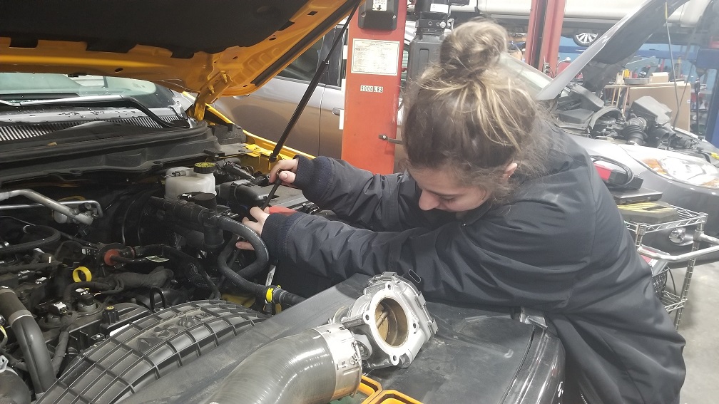 Cheyanne Effrick at Dayton Ford