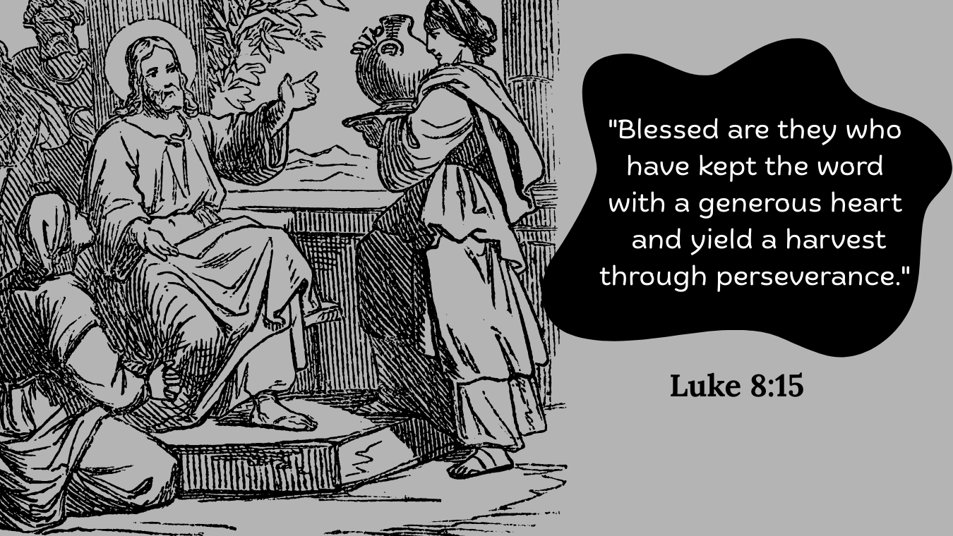 16th Sunday OT