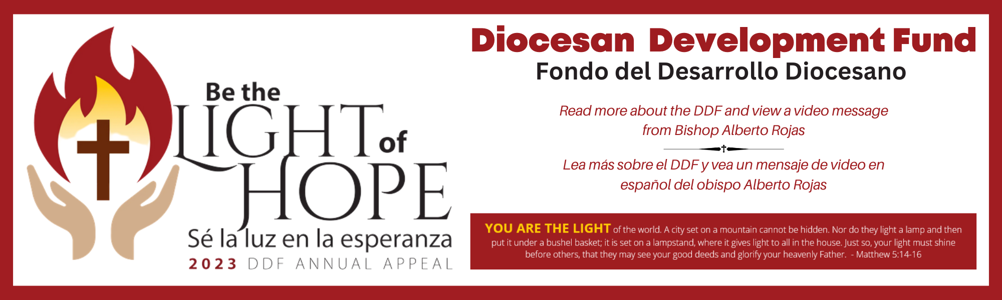 DDF Annual Appeal