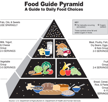 food pyramid